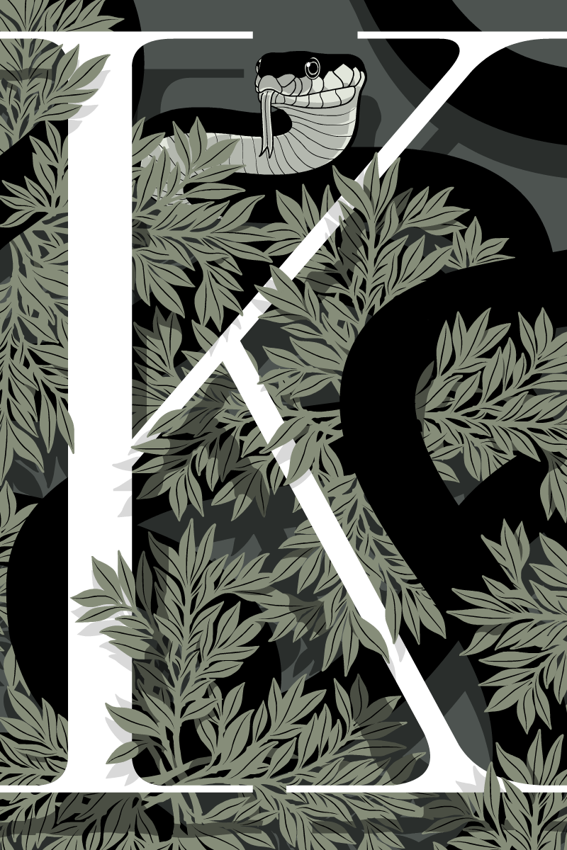 Gianmarco Magnani Illustration - Kopena Snake Letter K Poster
